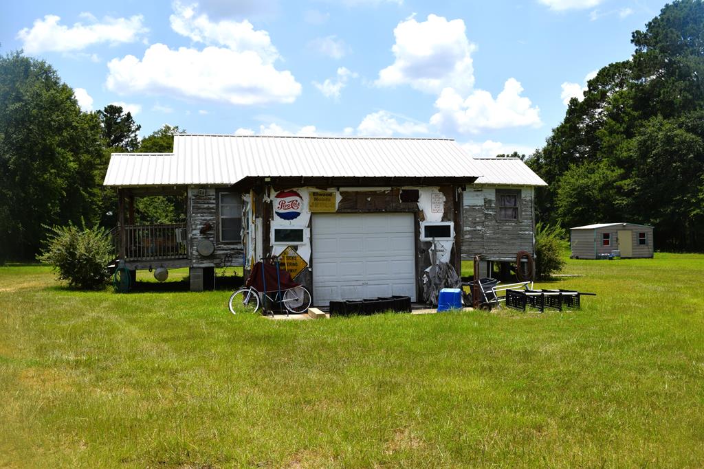 7252 County Road 49 Slocomb, AL 36375 - Photo 50 of 75