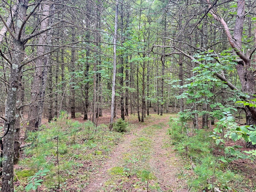 5-acres Logerquist Road Baileys Harbor, WI 54202 - Photo 3 of 13 Gallery Image 3