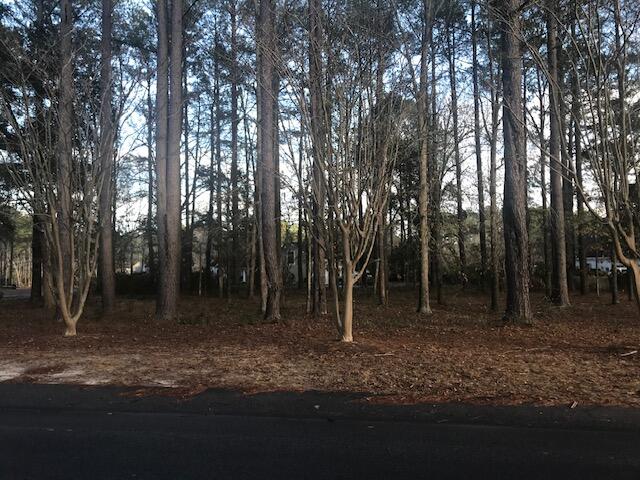 0 Deerwood Road Barnwell, SC 29812 - Photo 2 of 5