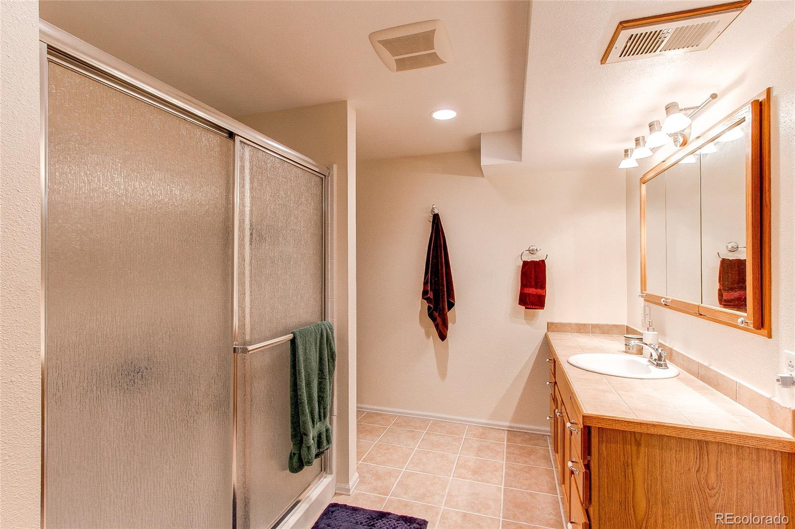 19231 East Rice Drive Aurora, CO 80015 - Photo 29 of 40 a bathroom with a sink and a mirror