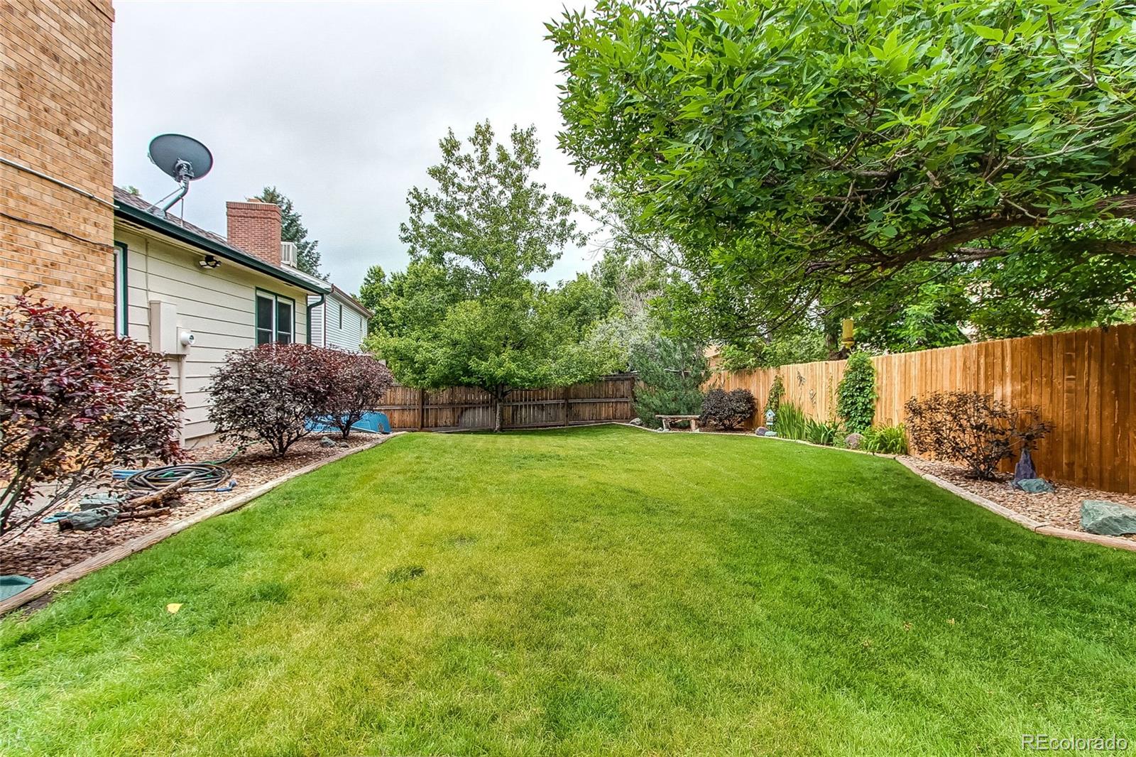 19231 East Rice Drive Aurora, CO 80015 - Photo 34 of 40 a view of a backyard with potted plants and large tree