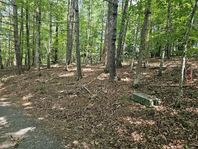 a view of outdoor space with trees