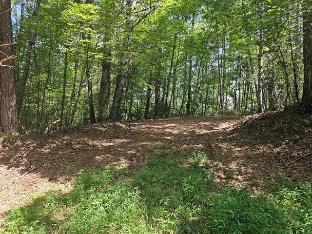 a view of outdoor space with trees