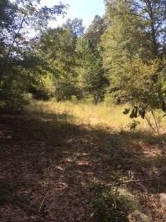 330 James Shull Road Salley, SC 29137 - Photo 3 of 7