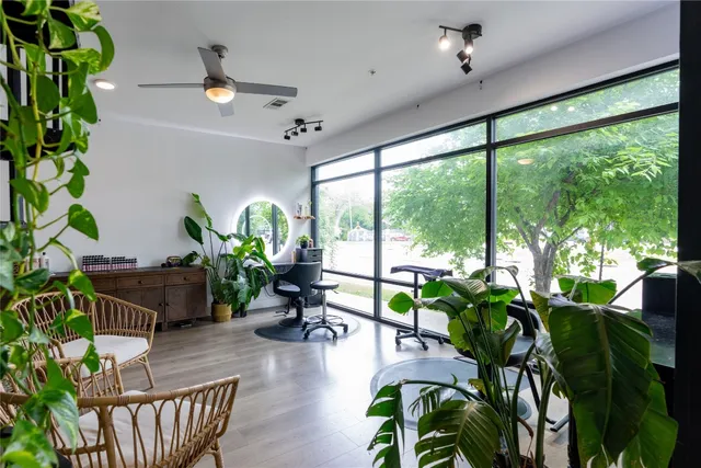 a living room filled with furniture and a potted plant
