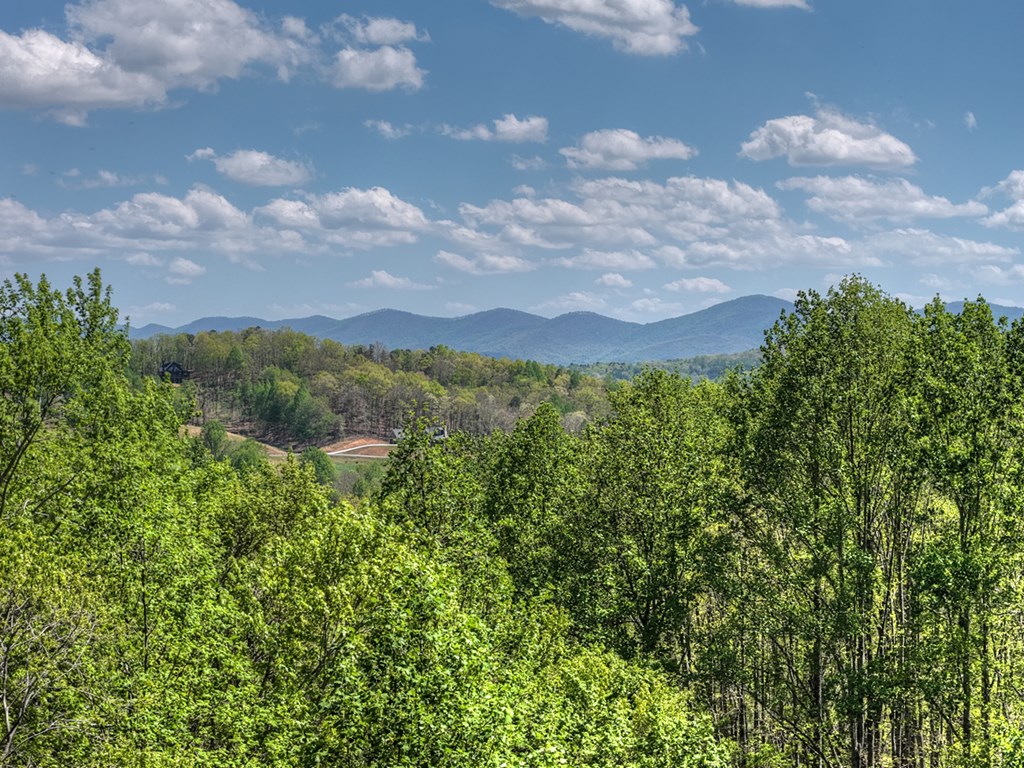 315 Blue Berry Ridge Morganton, GA 30560 - Photo 2 of 61 a view of a lake in middle of forest