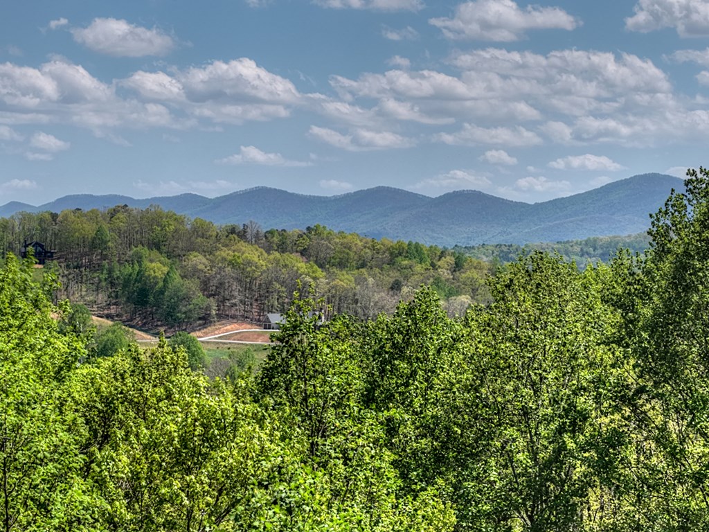 315 Blue Berry Ridge Morganton, GA 30560 - Photo 34 of 61
