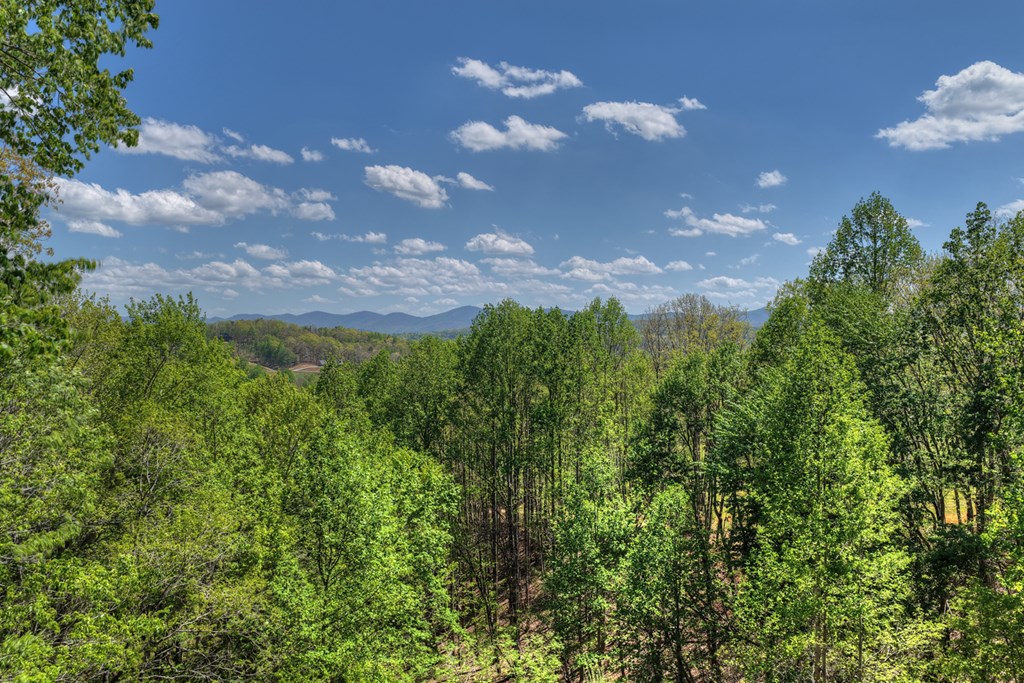 315 Blue Berry Ridge Morganton, GA 30560 - Photo 61 of 61