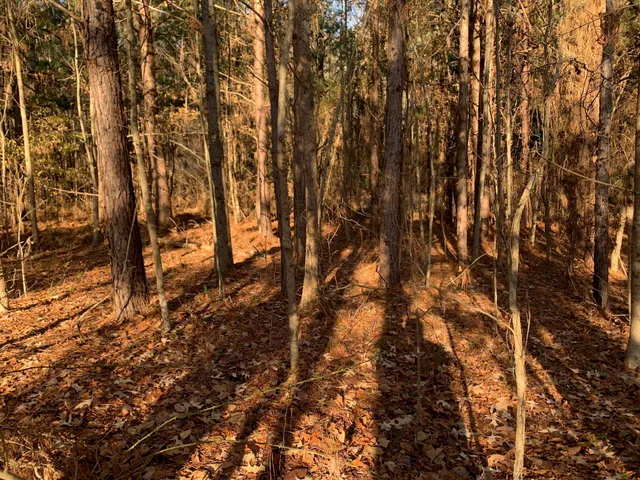 $32,500 | 3 Sulphur Springs Road, Selmer, TN 38375