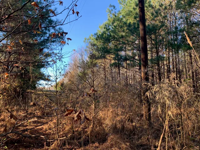 $32,500 | 3 Sulphur Springs Road, Selmer, TN 38375