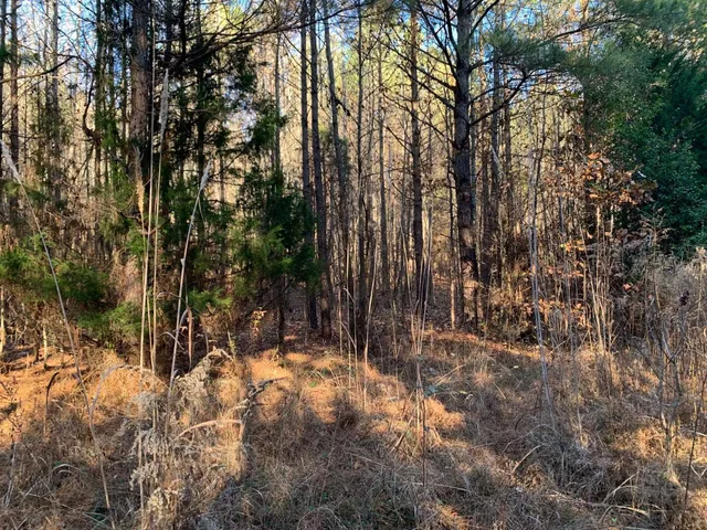 $32,500 | 3 Sulphur Springs Road, Selmer, TN 38375