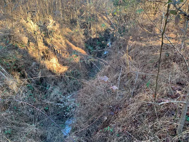 $32,500 | 3 Sulphur Springs Road, Selmer, TN 38375