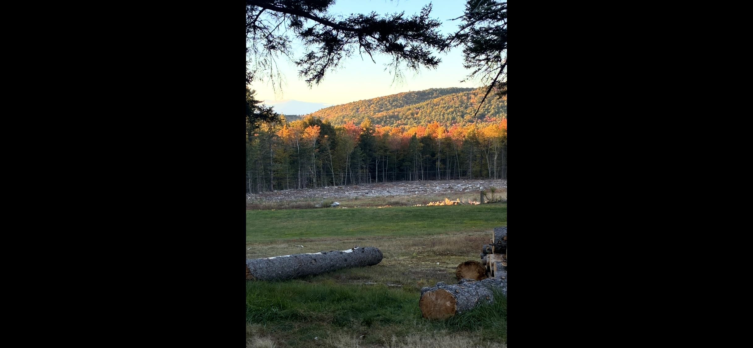 Tbd Towle Hill Road Freedom, NH 03836 - Photo 32 of 32