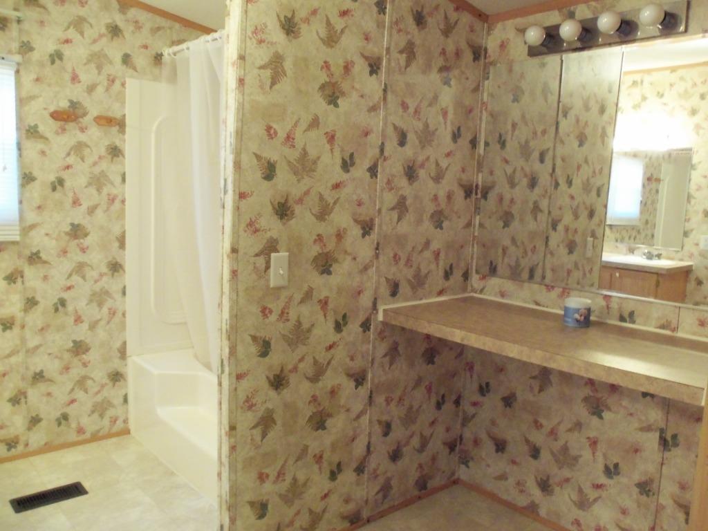 891 Parsonage Road White Pine, TN 37890 - Photo 13 of 29 Master Bathroom Tub/Shower