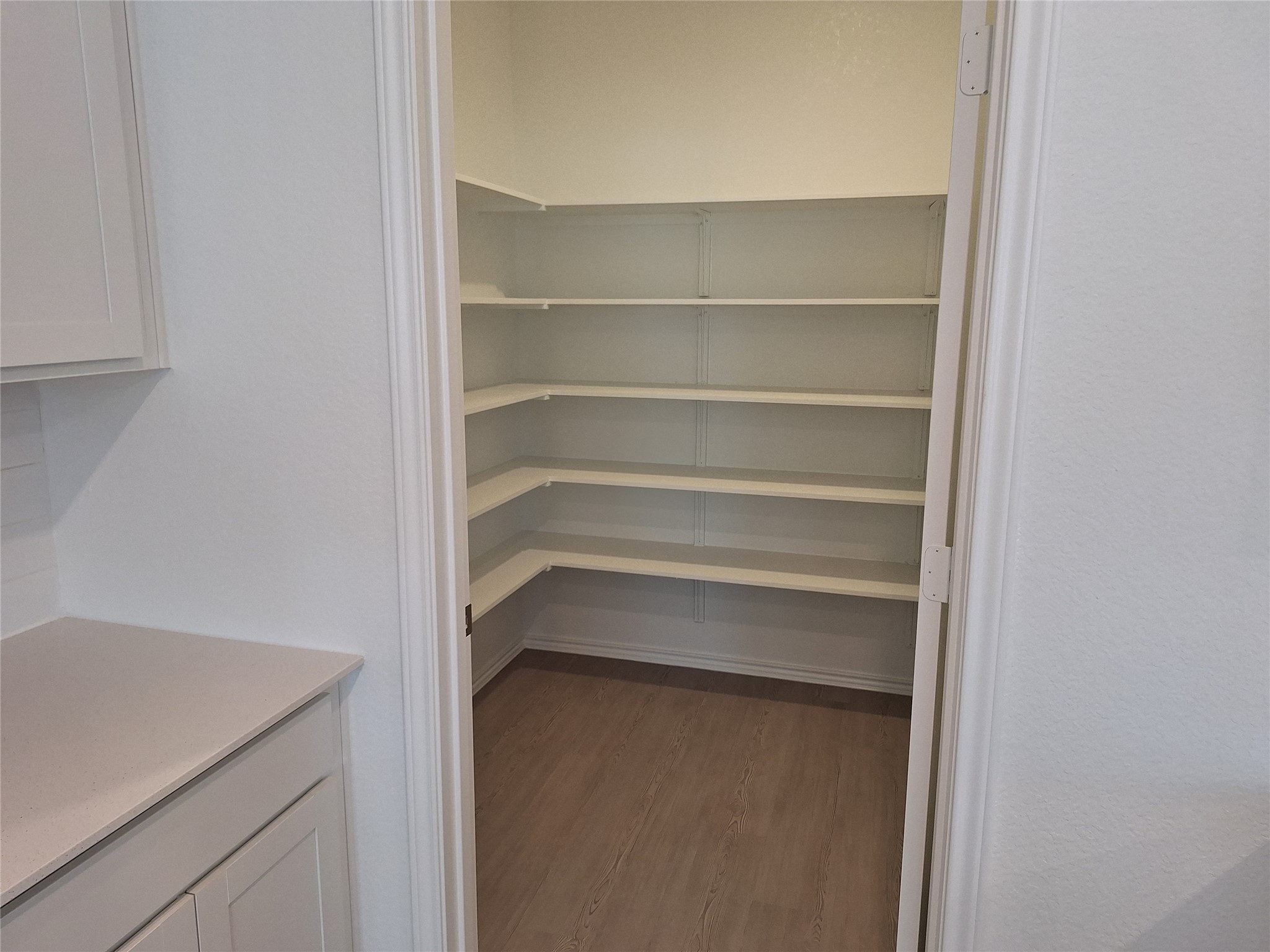 18001 Prairie Falcon Way Pflugerville, TX 78660 - Photo 15 of 38 Walk-in pantry featuring multiple levels of shelving, wood-finish flooring, and white baseboards