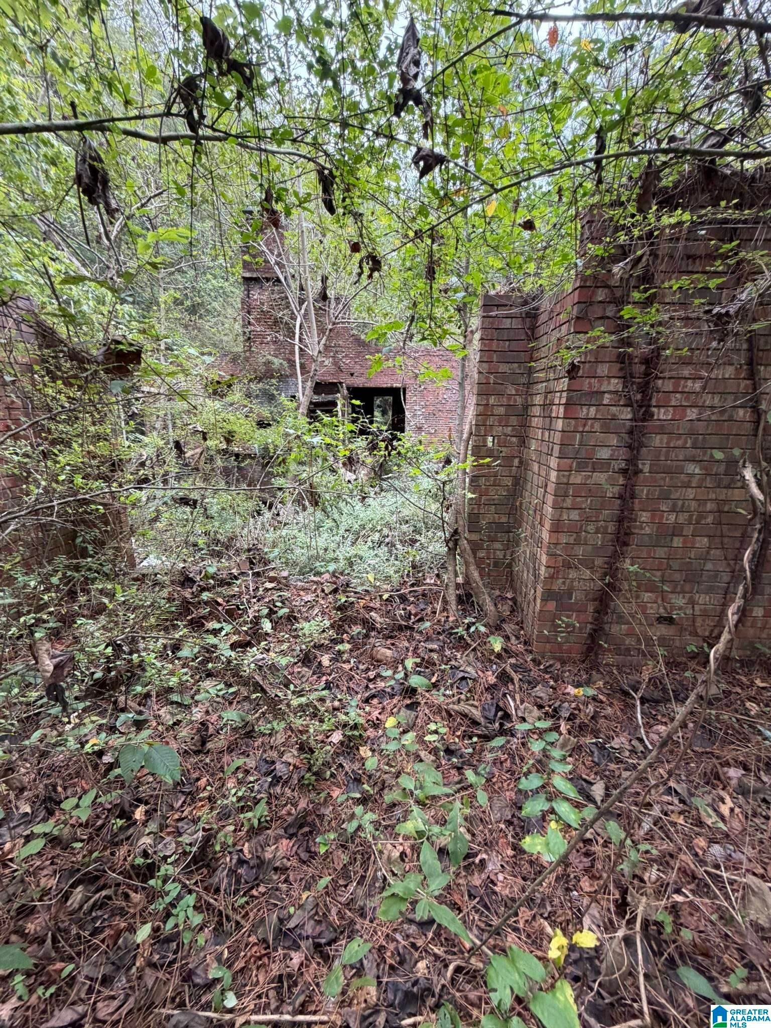 0 Dearmanville Road Anniston, AL 36207 - Photo 24 of 28 Gallery Image 24
