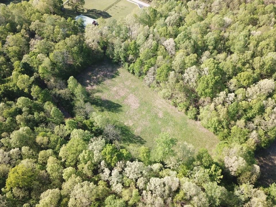 201 Rackley Road Hohenwald, TN 38462 - Photo 3 of 30 Gallery Image 3