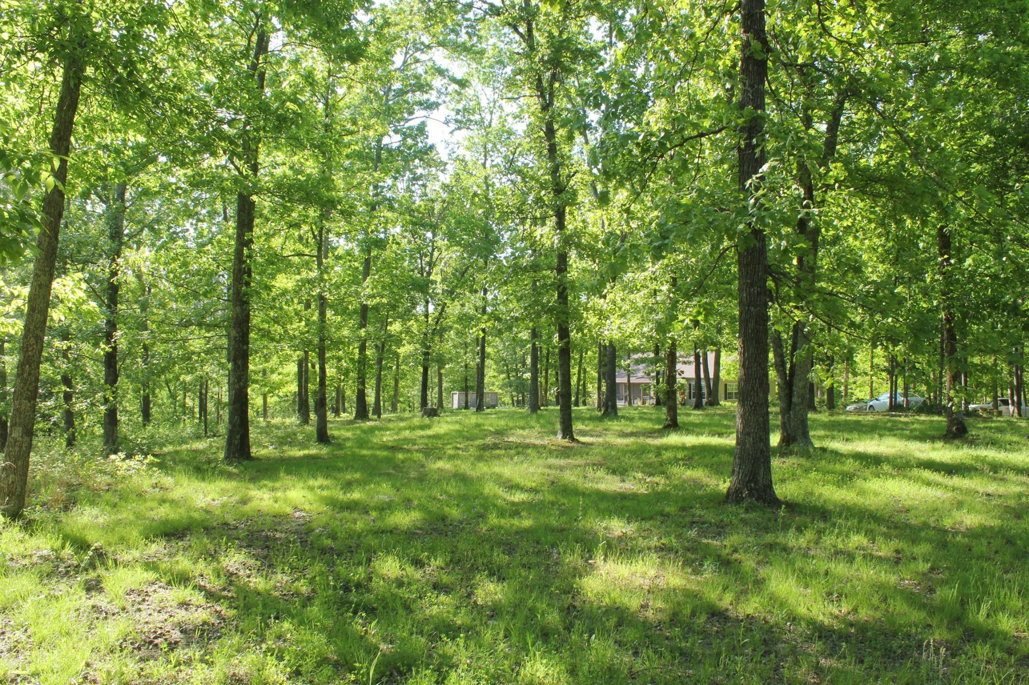 201 Rackley Road Hohenwald, TN 38462 - Photo 27 of 30 Gallery Image 27