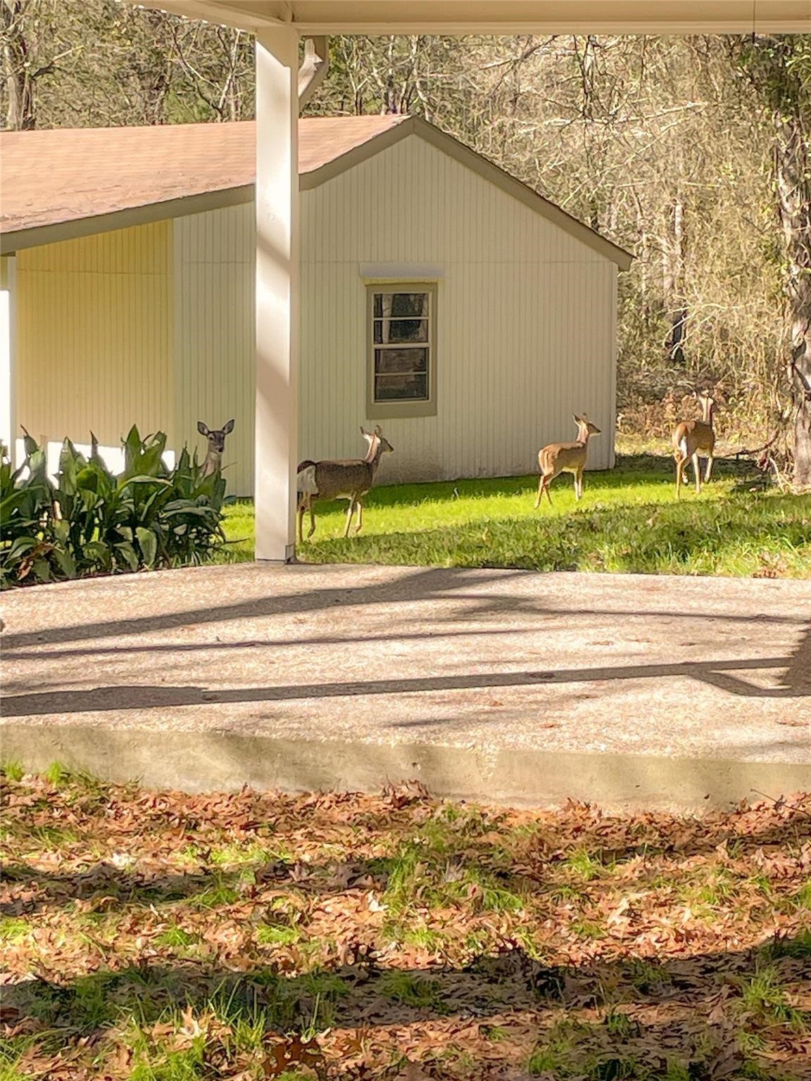 83 Dahlia Road Huntsville, TX 77320 - Photo 48 of 49 a view of a terrace