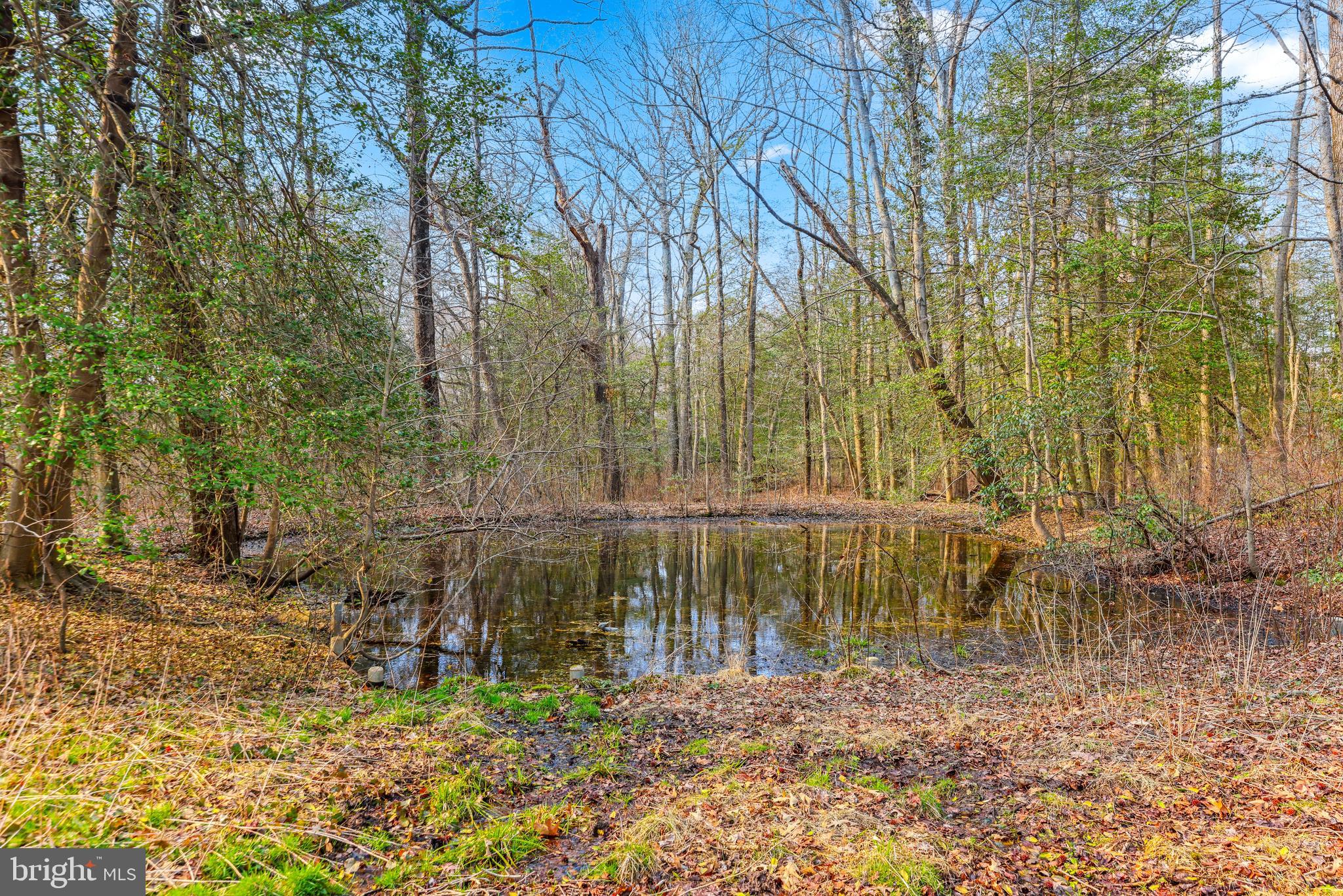 6204 Ebenezer Road Middle River, MD 21220 - Photo 57 of 70 a backyard of a house with lots of green space