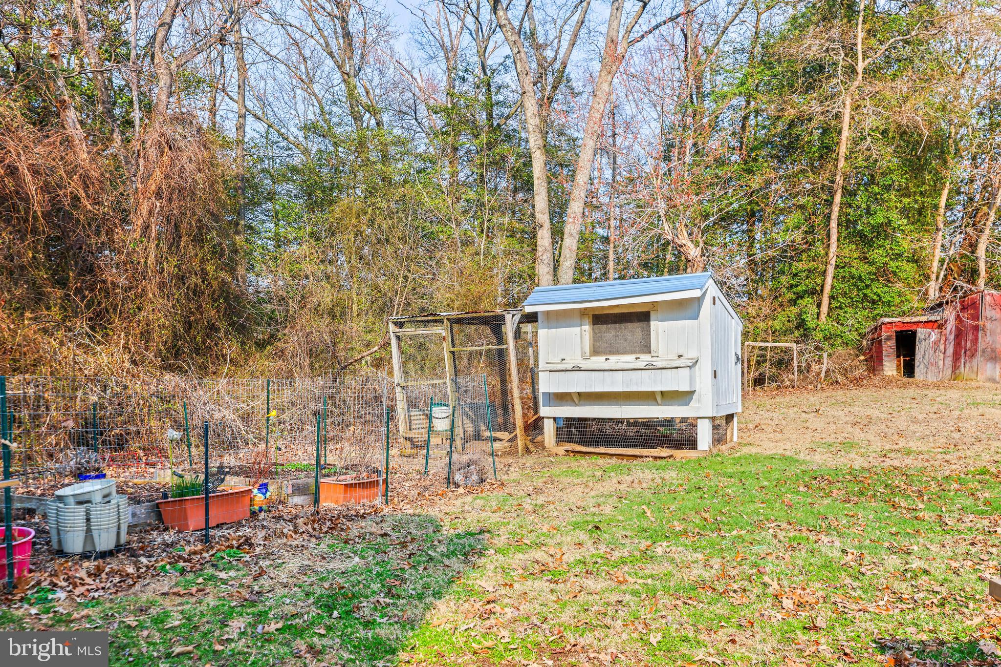 6204 Ebenezer Road Middle River, MD 21220 - Photo 60 of 70 a backyard of a house with lots of green space