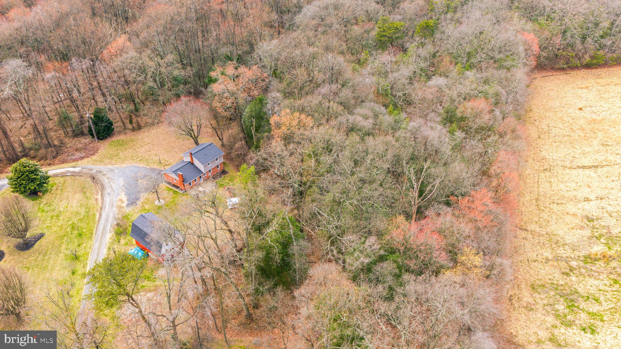 6204 Ebenezer Road Middle River, MD 21220 - Photo 70 of 70 a close up of a plant in a garden
