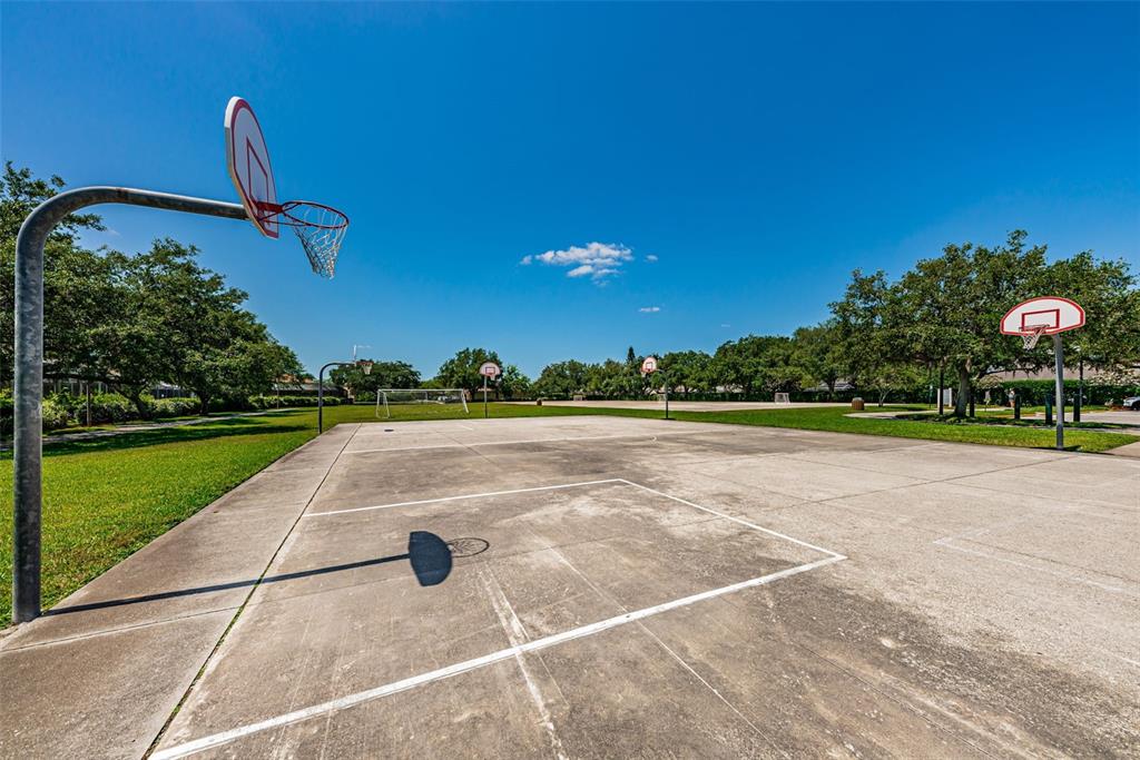 1821 Alvara Place Trinity, FL 34655 - Photo 55 of 63
