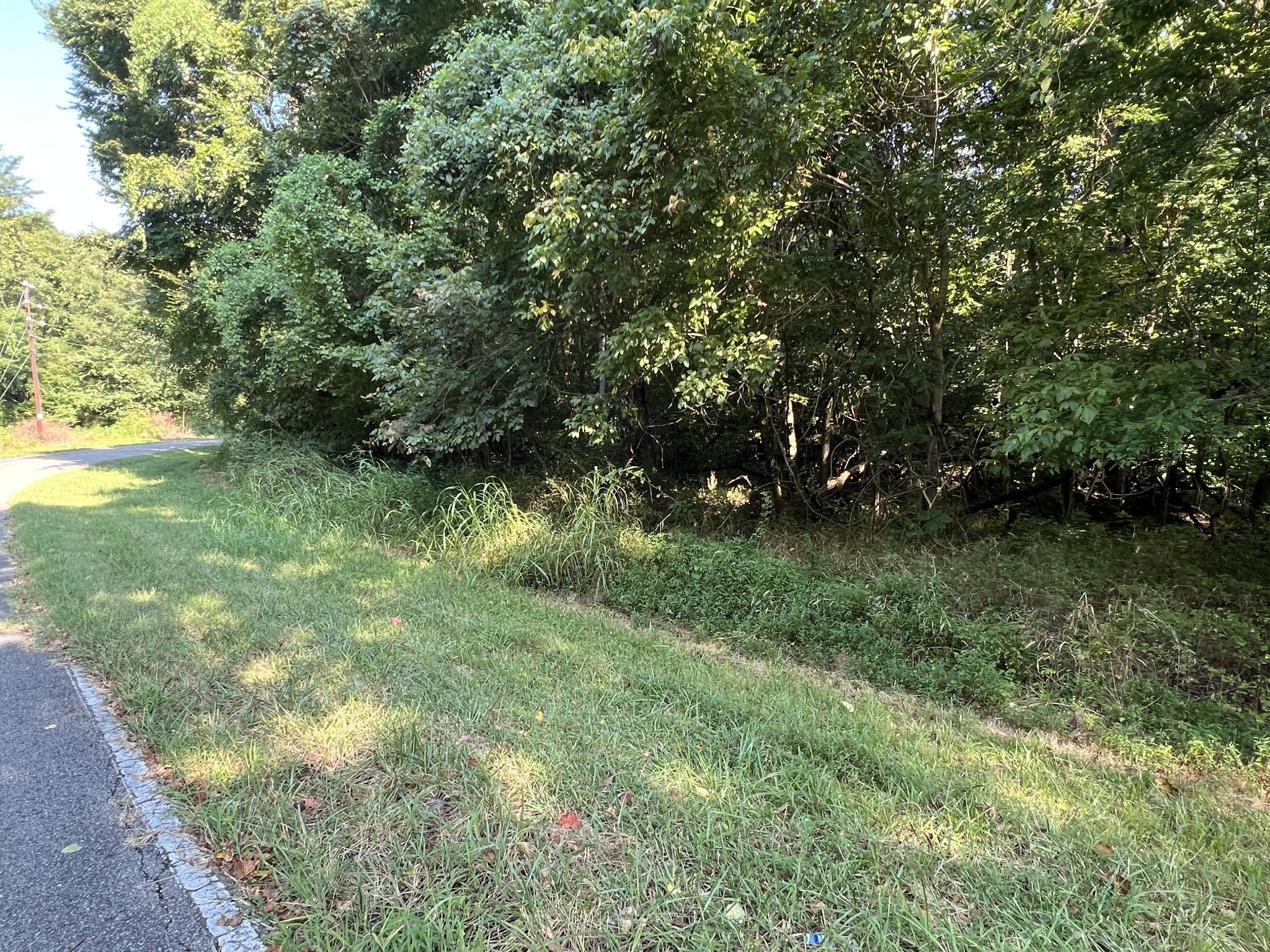 7 Jarrell Ridge Road Clarksville, TN 37043 - Photo 3 of 6 a view of outdoor space