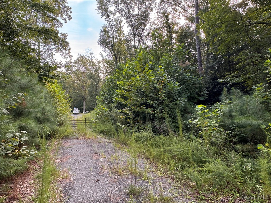 8201 Luton Road Richmond, VA 23235 - Photo 1 of 1 View of street