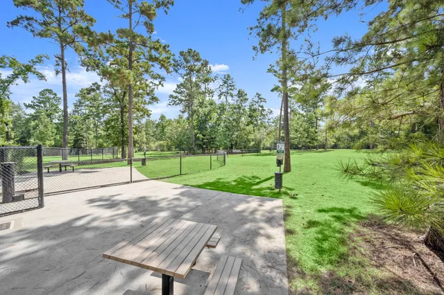 a view of a park with large trees