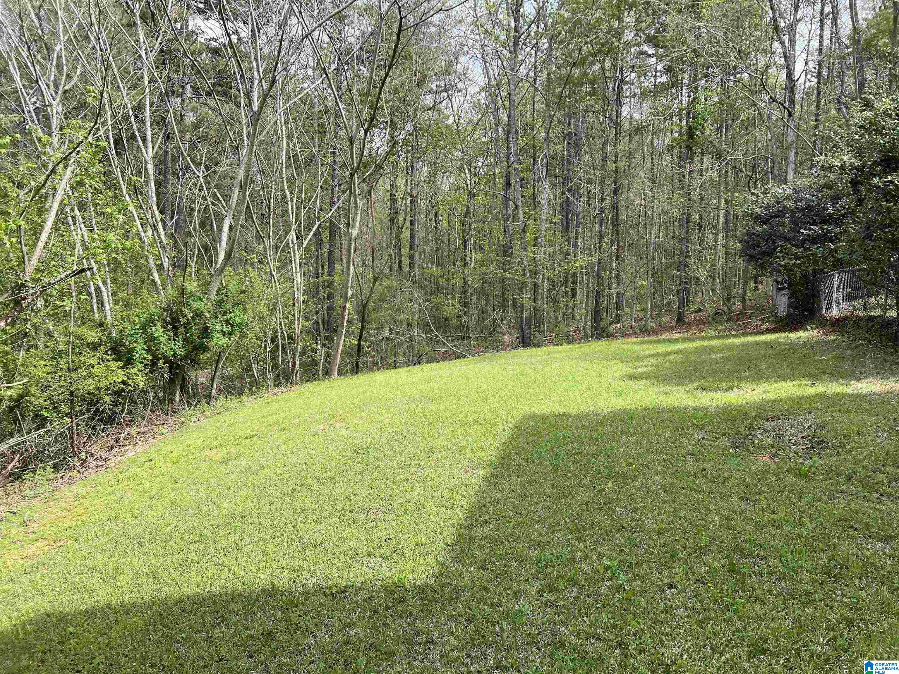 1158 Armstrong Road Remlap, AL 35133 - Photo 45 of 70