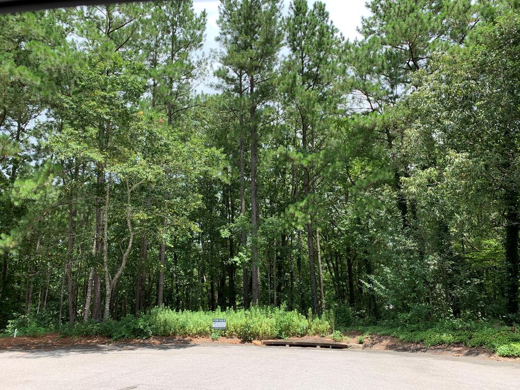 2 Trail Ridge Court Aiken, SC 29803 - Photo 3 of 6