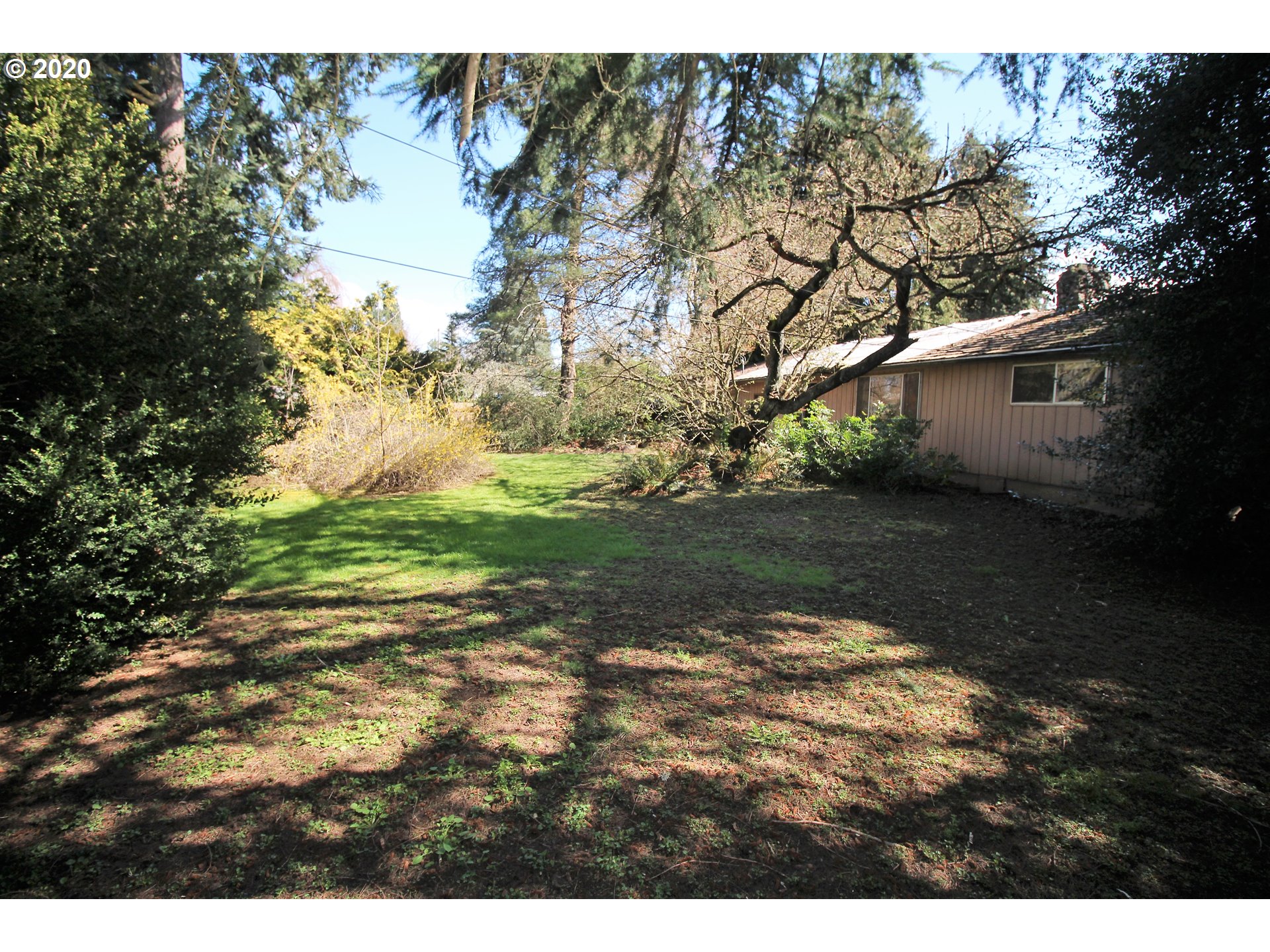 958 South 38th Street Springfield, OR 97478 - Photo 7 of 12