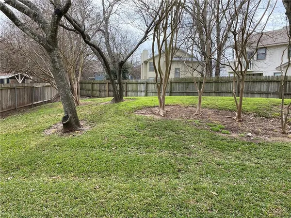 a view of a garden with a tree