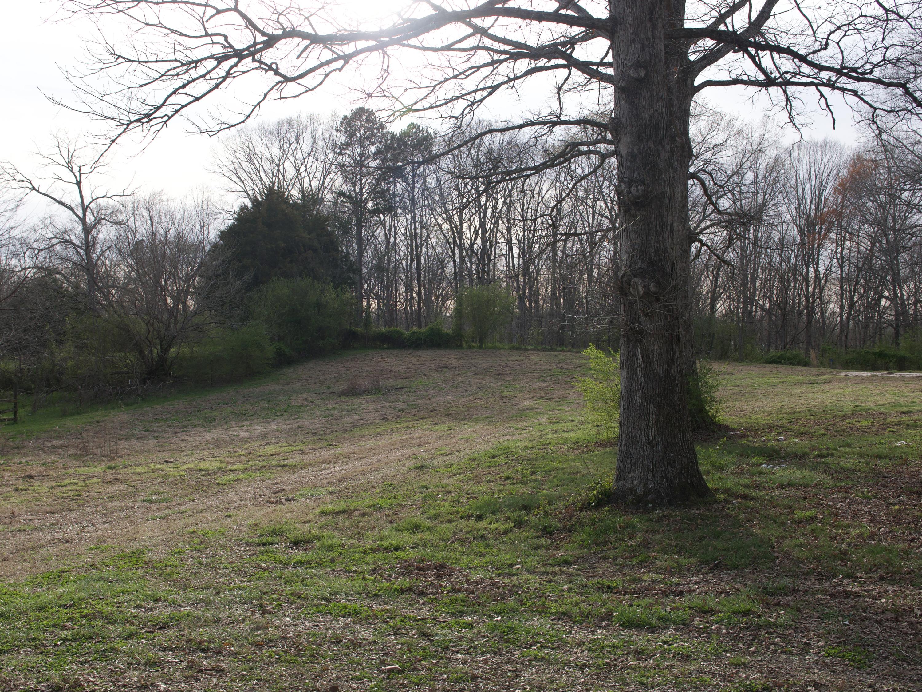 650 Maple Hill Road Loudon, TN 37774 - Photo 14 of 18 Photo Mar 22, 6 24 37 AM