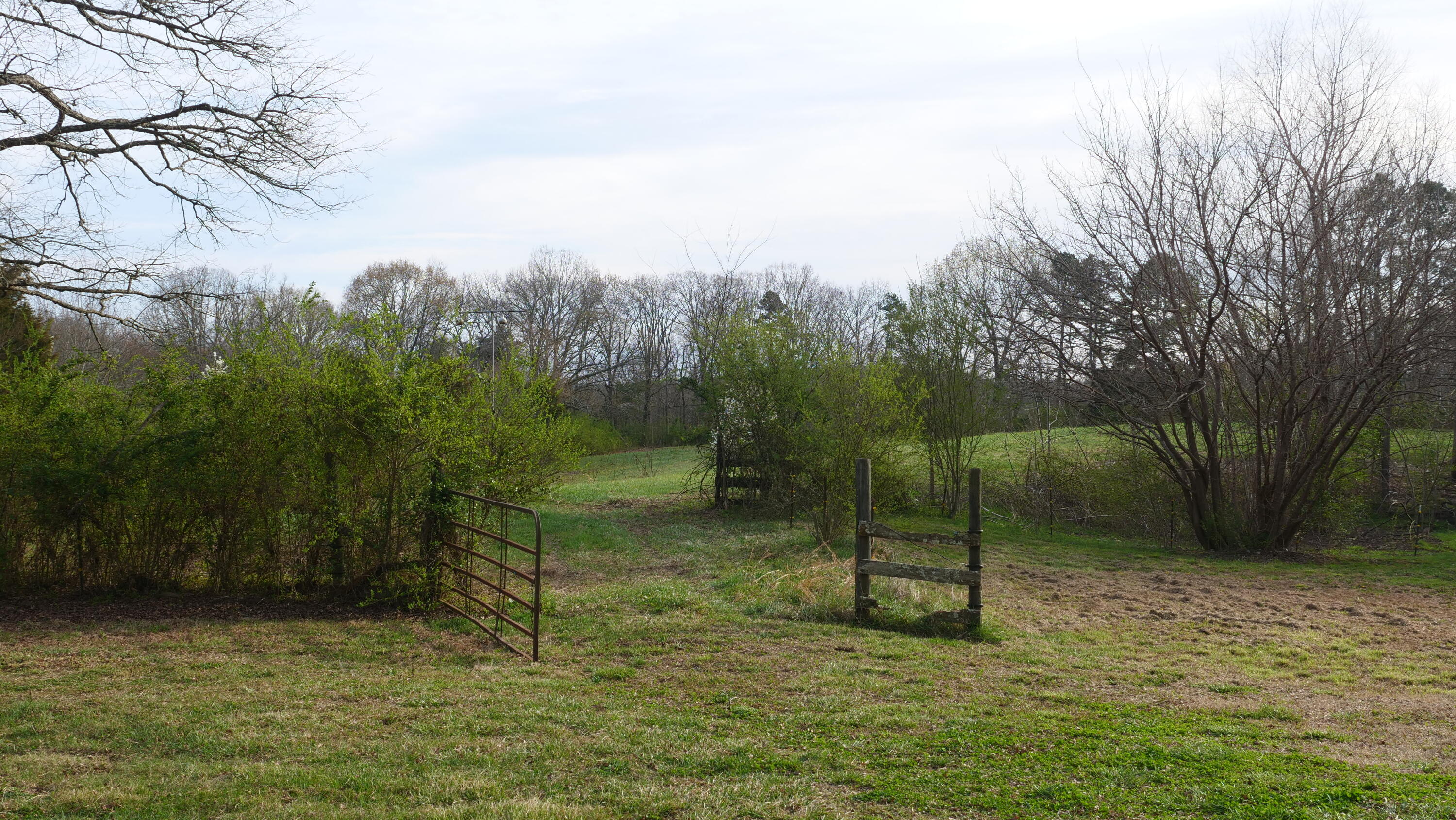650 Maple Hill Road Loudon, TN 37774 - Photo 6 of 18 Photo Mar 22, 7 24 31 AM