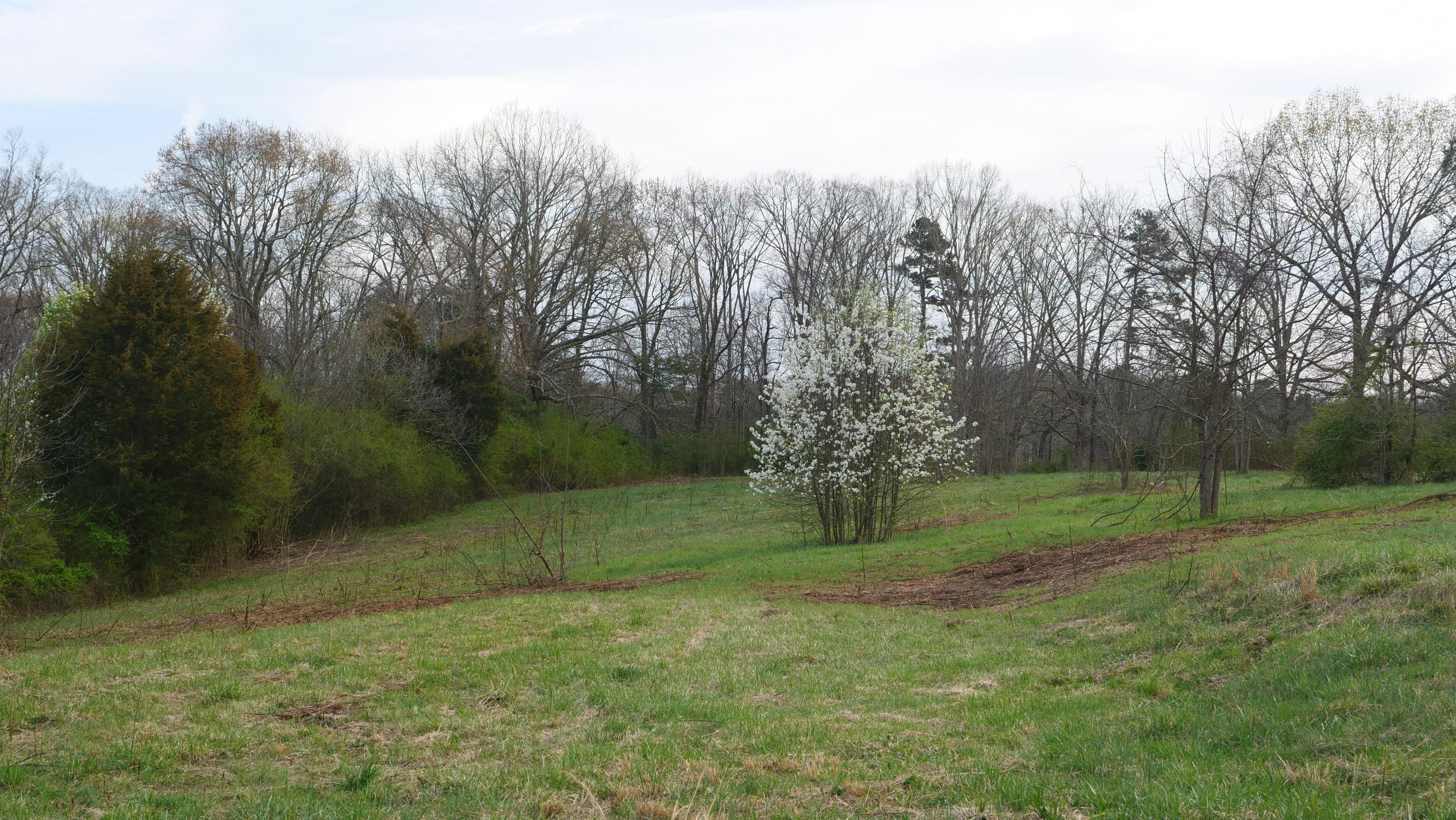 650 Maple Hill Road Loudon, TN 37774 - Photo 7 of 18 File_001