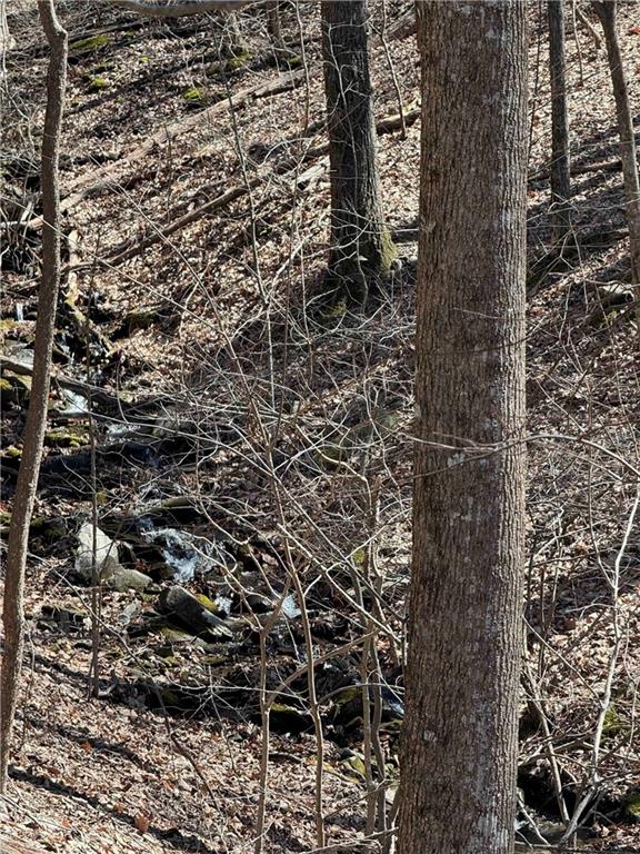 3366 Crippled Oak Trail Jasper, GA 30143 - Photo 17 of 22