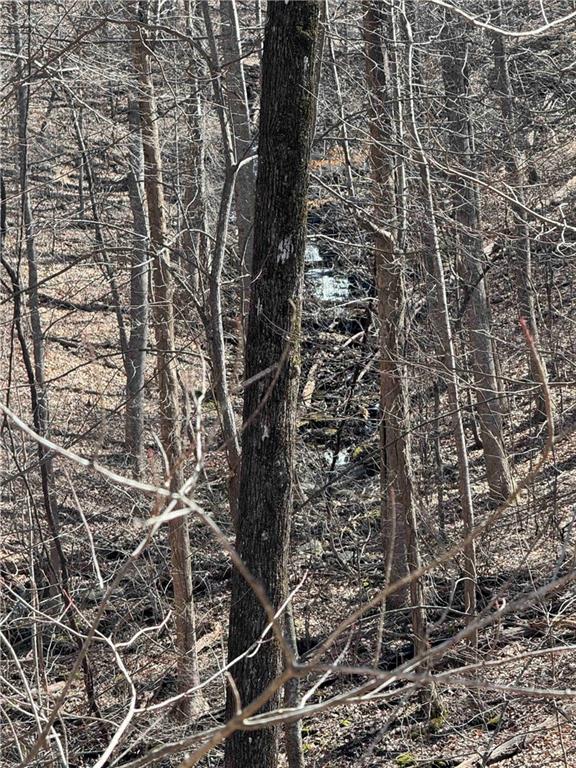 3366 Crippled Oak Trail Jasper, GA 30143 - Photo 20 of 22 view of a yard