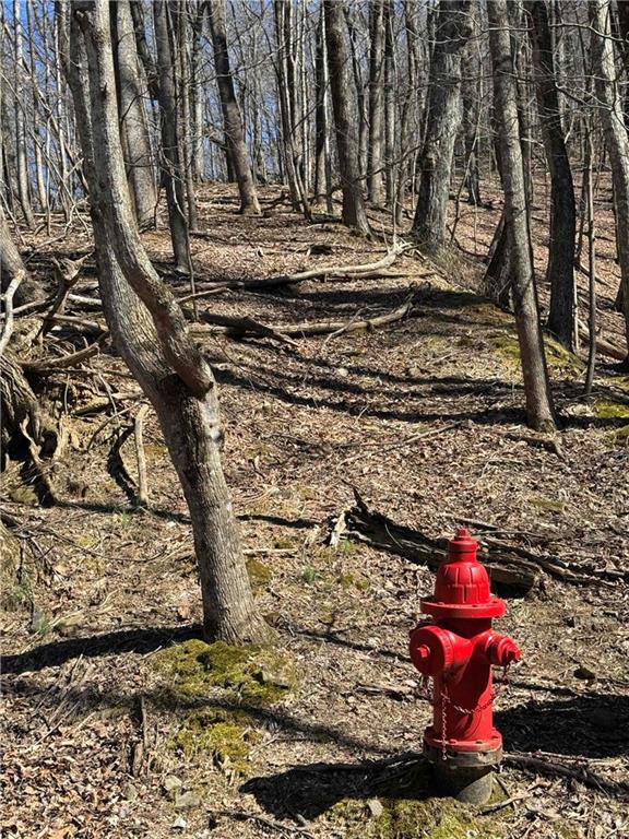 3366 Crippled Oak Trail Jasper, GA 30143 - Photo 21 of 22 a view of statue
