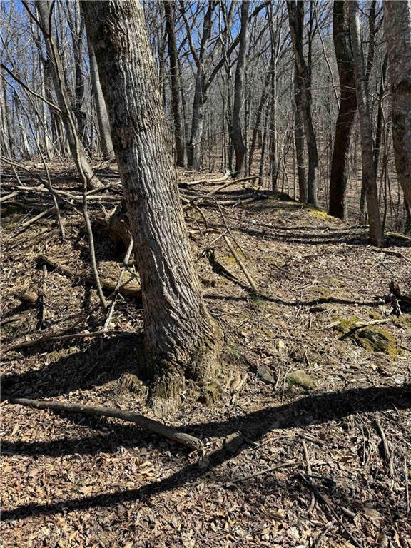 3366 Crippled Oak Trail Jasper, GA 30143 - Photo 5 of 22 a view of a backyard of the house