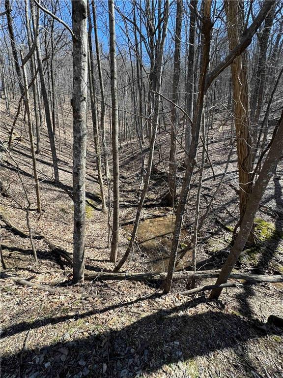 3366 Crippled Oak Trail Jasper, GA 30143 - Photo 7 of 22 a picture of trees