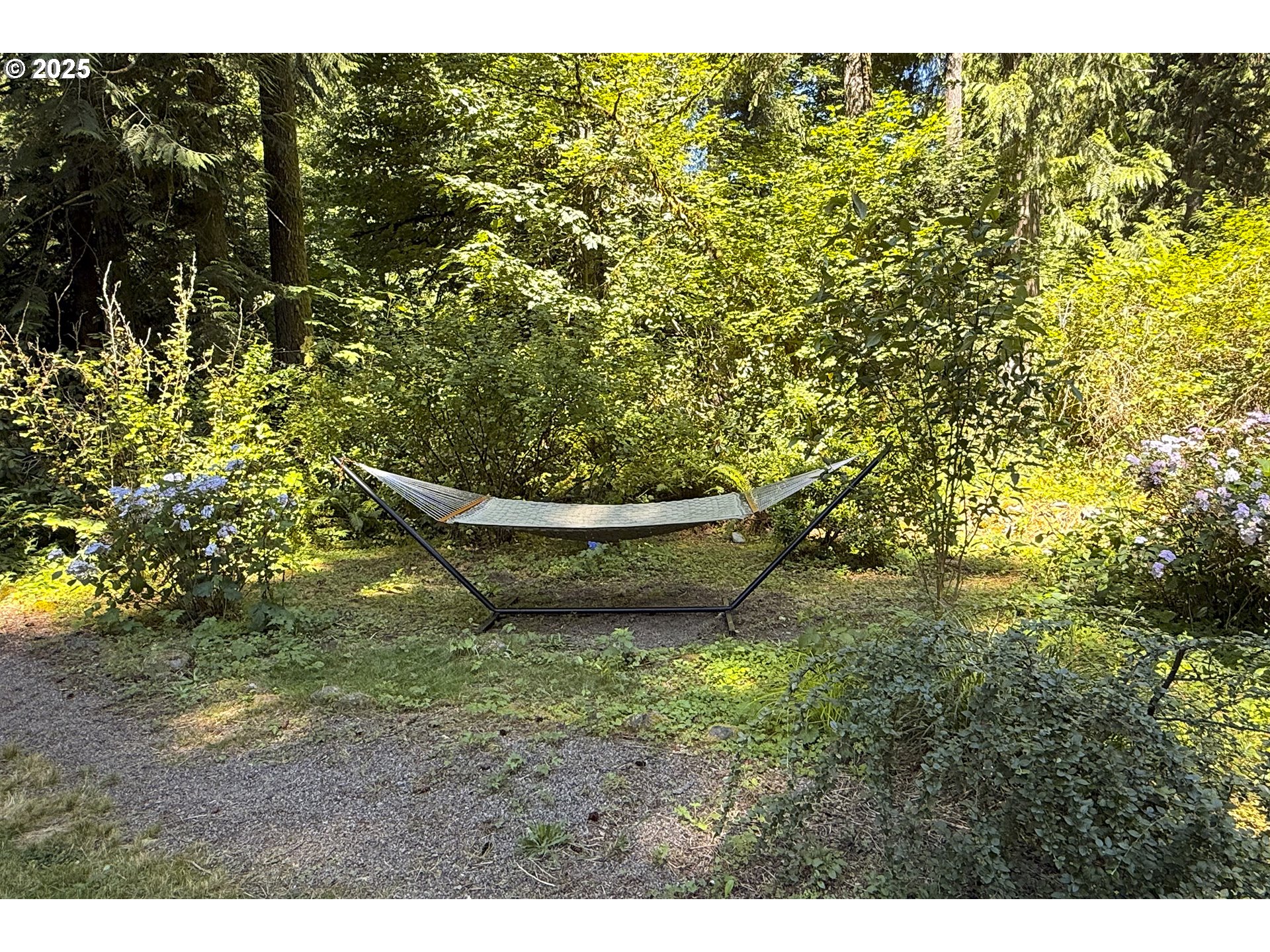 64135 East Relton Road Rhododendron, OR 97049 - Photo 45 of 48 a view of a backyard of the house