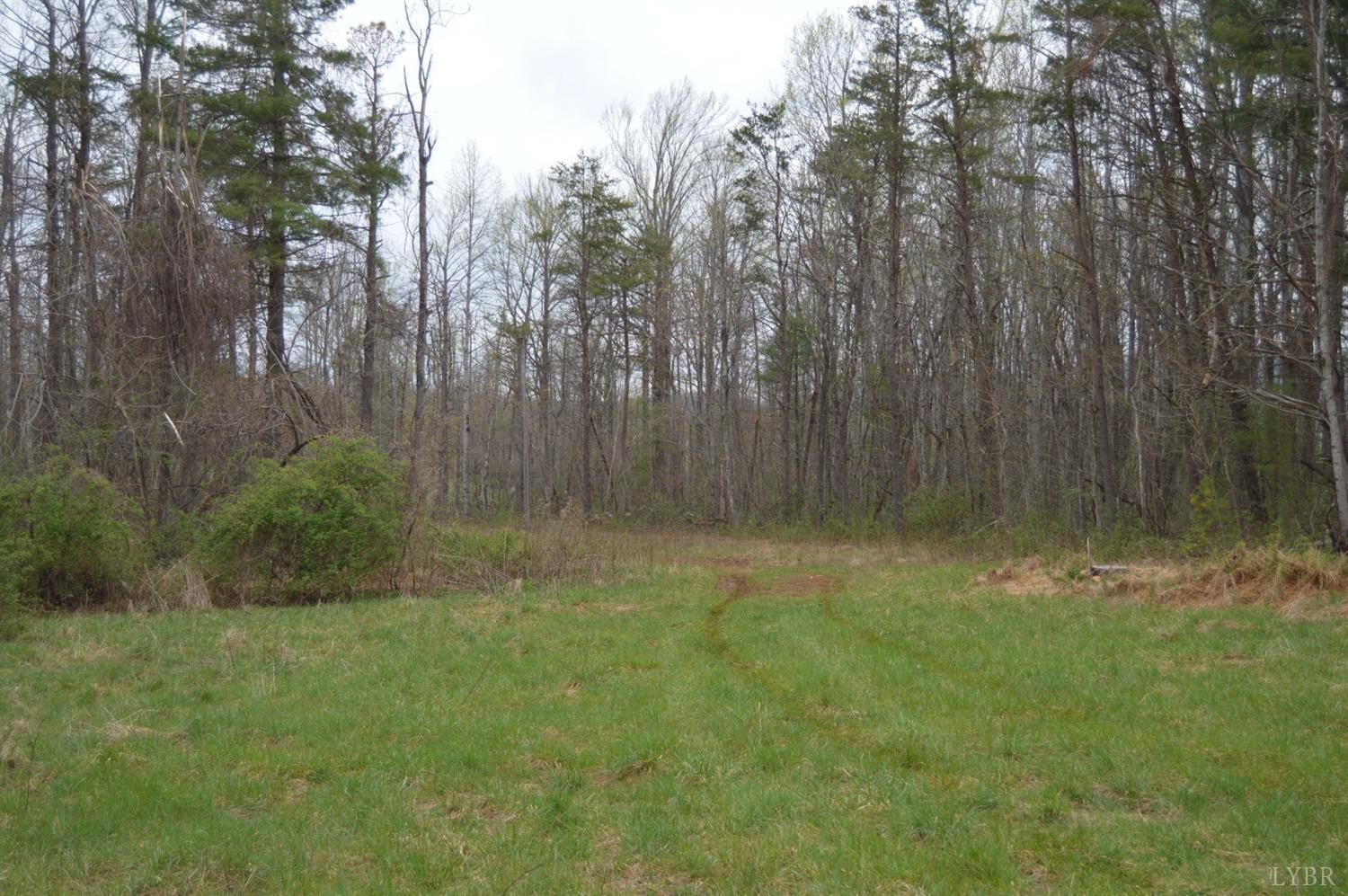 0 Haycock Road Southeast Floyd, VA 24091 - Photo 1 of 22 a view of backyard with green space