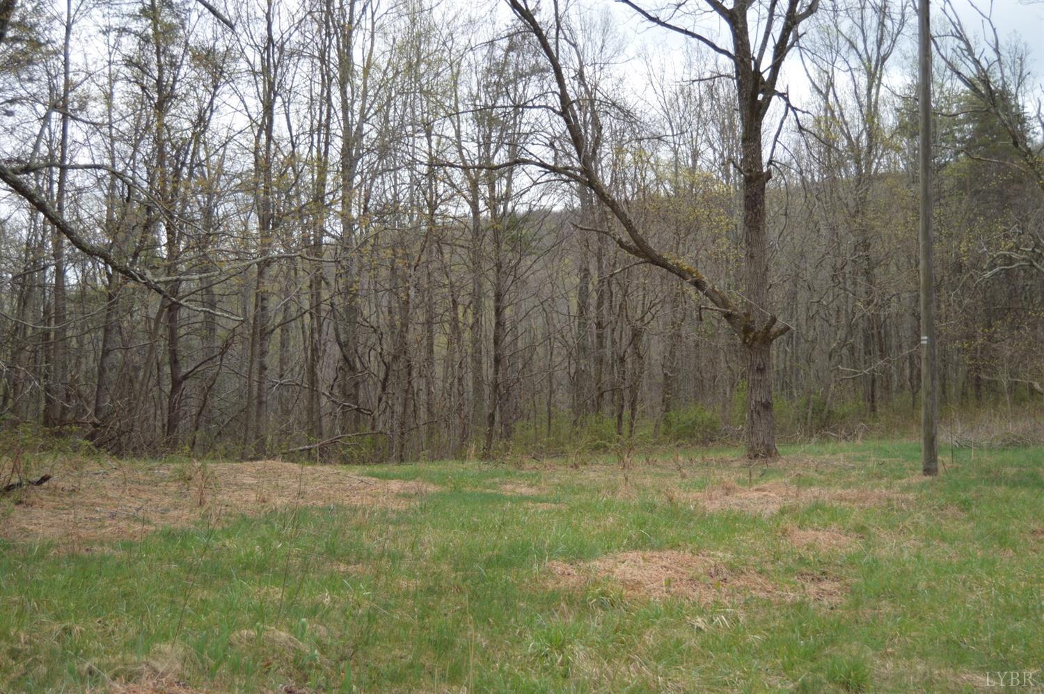 0 Haycock Road Southeast Floyd, VA 24091 - Photo 2 of 22 a view of backyard with green space
