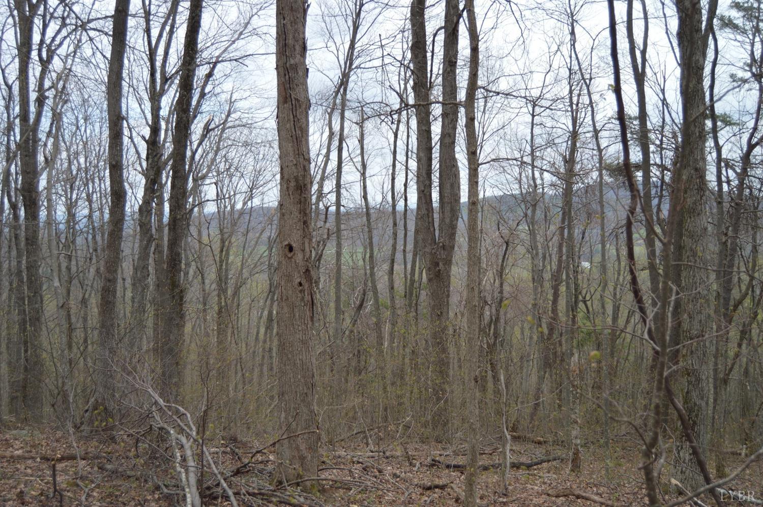 0 Haycock Road Southeast Floyd, VA 24091 - Photo 11 of 22 a view of three trees