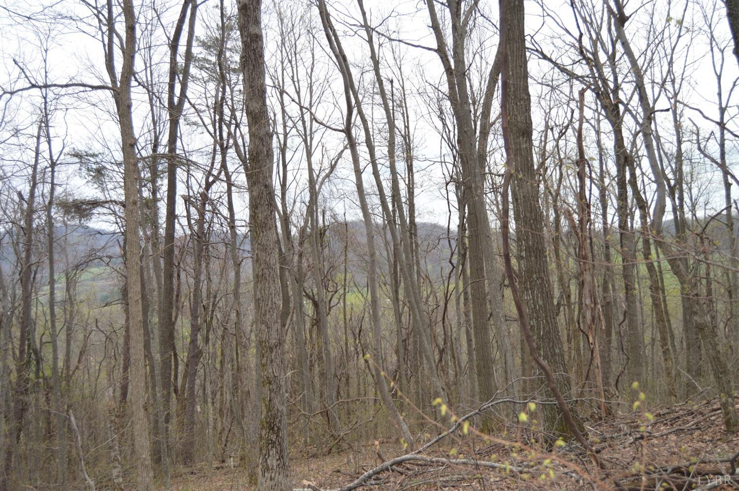 0 Haycock Road Southeast Floyd, VA 24091 - Photo 12 of 22 a view of outdoor space with a wooden fence