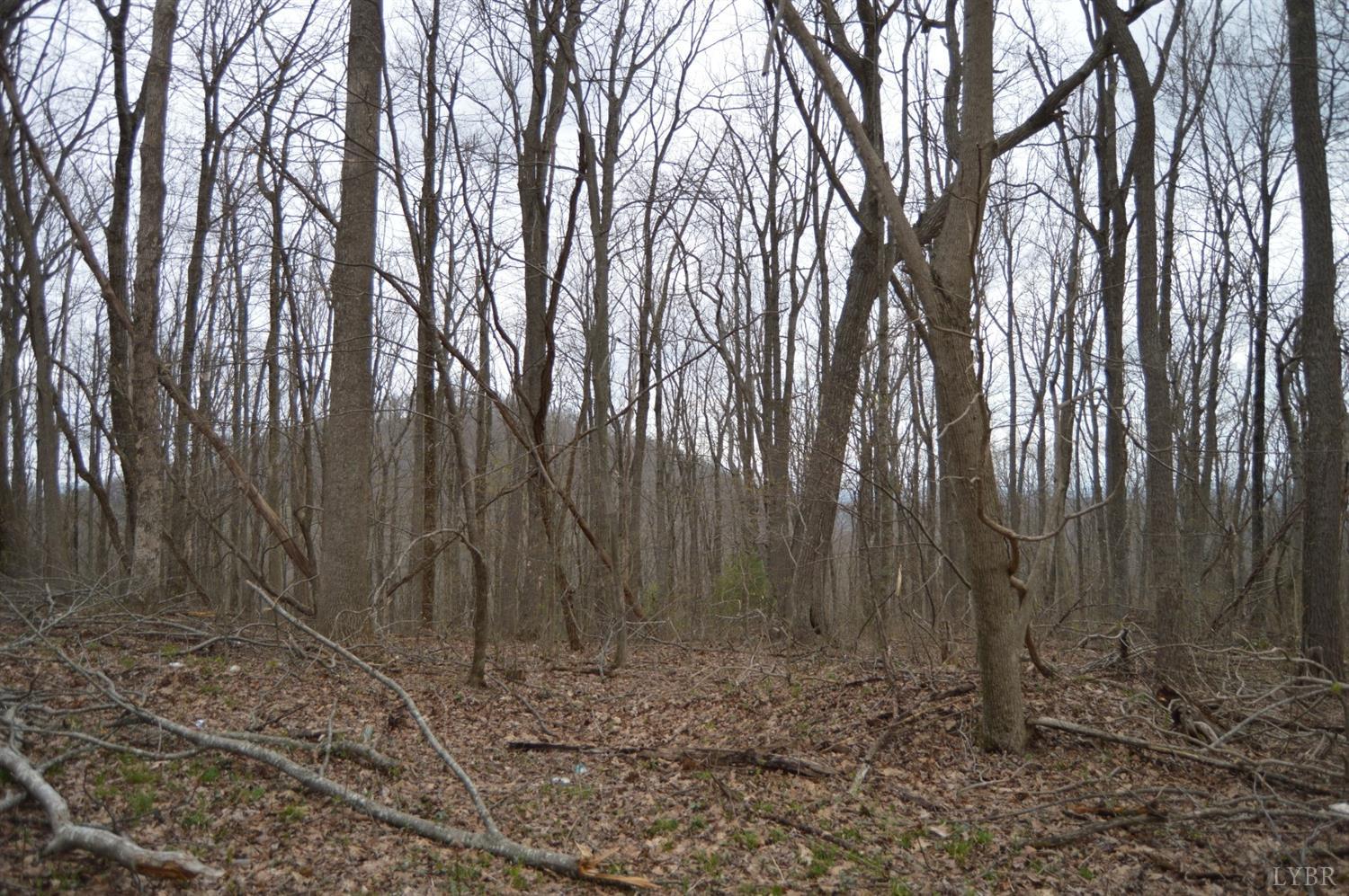0 Haycock Road Southeast Floyd, VA 24091 - Photo 18 of 22 a backyard of a house with lots of trees