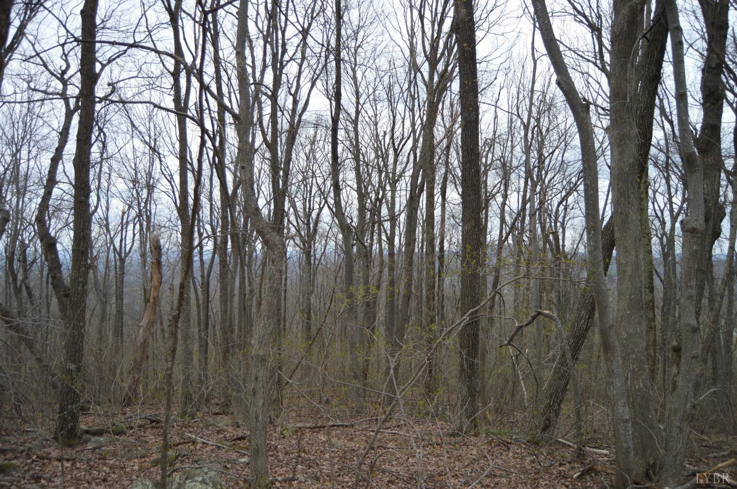 0 Haycock Road Southeast Floyd, VA 24091 - Photo 20 of 22 a view of three trees