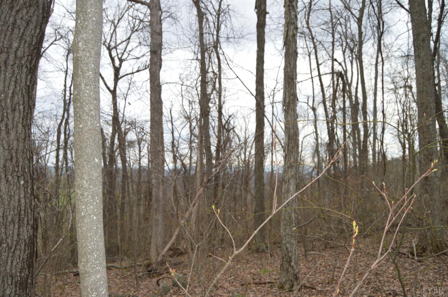 0 Haycock Road Southeast Floyd, VA 24091 - Photo 21 of 22 a view of forest